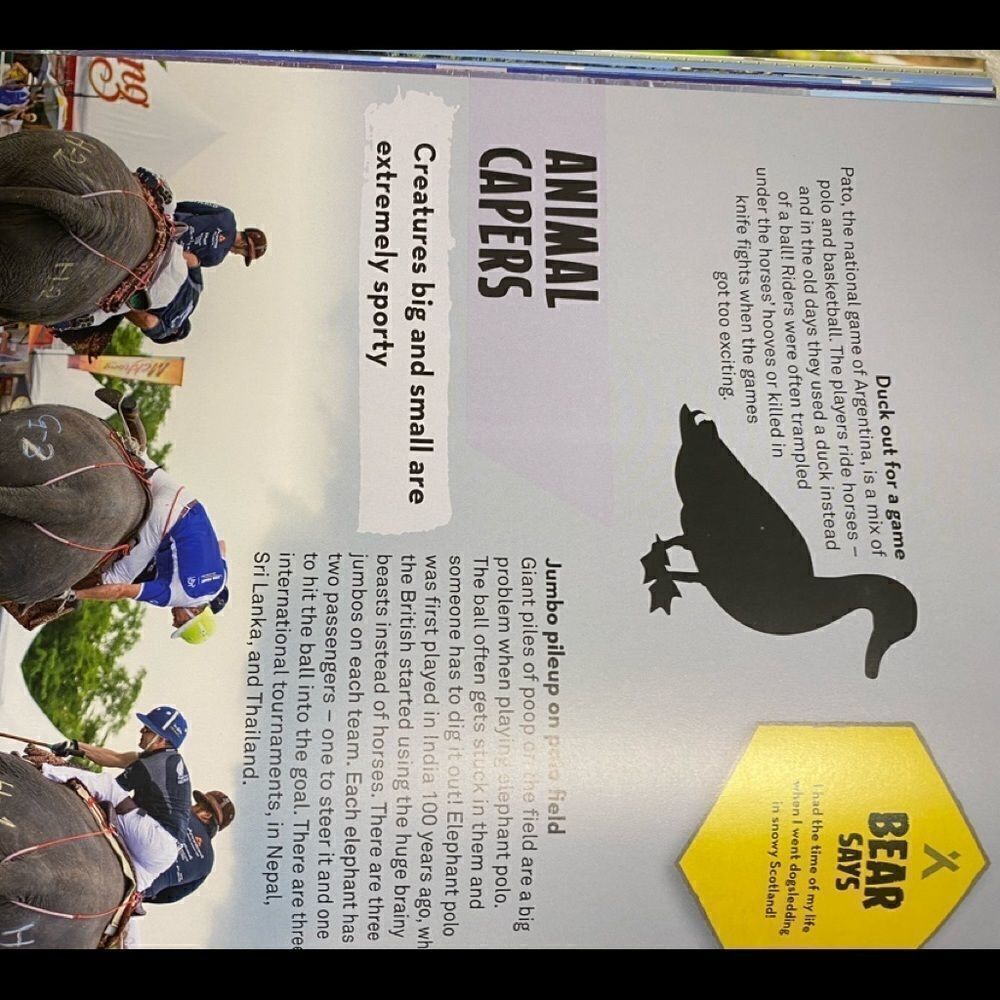 Bear Grylls Extreme Planet book - Picture 5 of 15